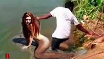 Most Amazing Real Life Mermaids Caught on Camera Mysterious Creatures 2017