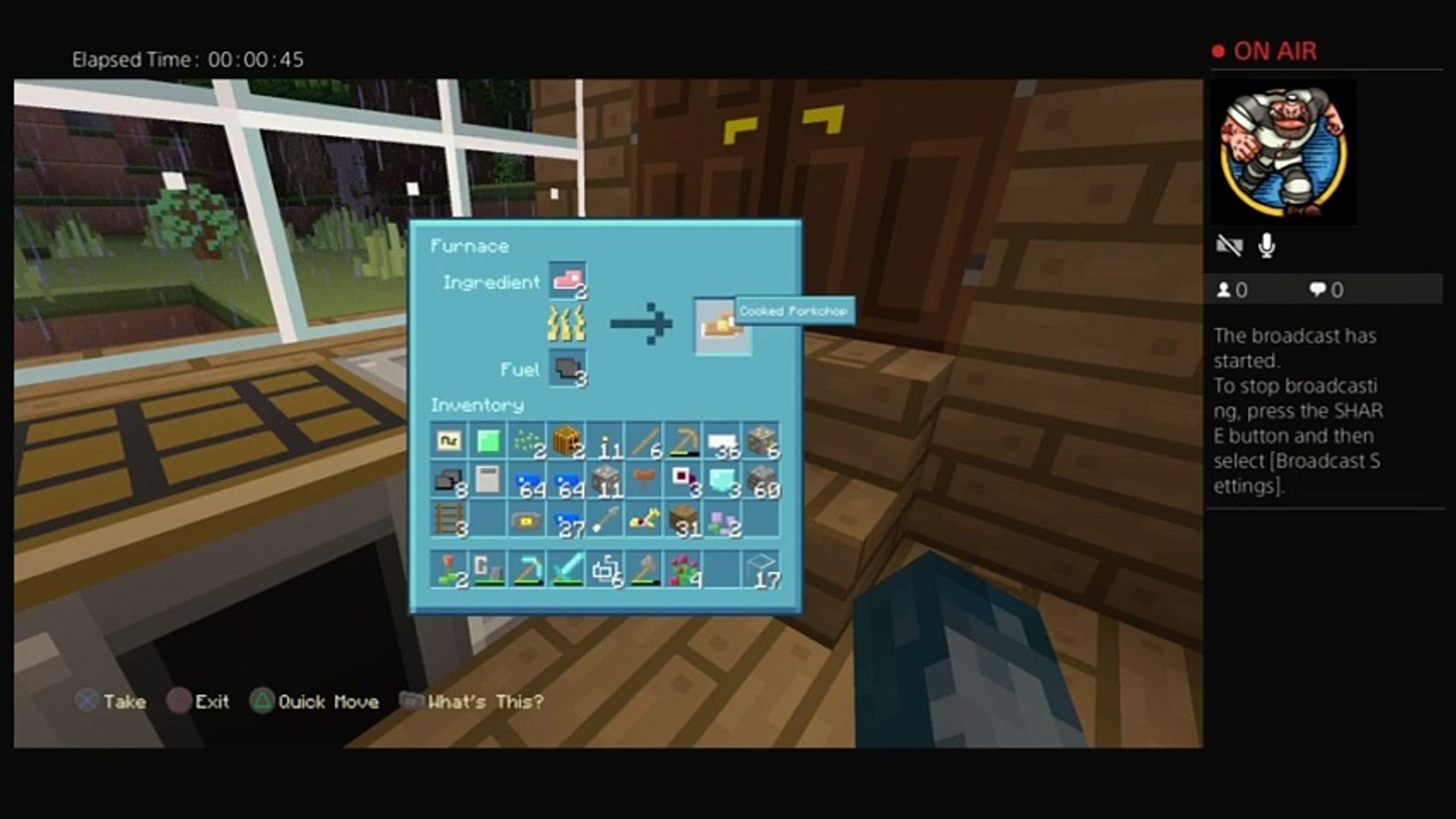 Minecraft Survival Stream pt2 (2)