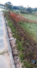 Carro capota e duas pessoas morrem em Cachoeiro - Vídeo de internauta