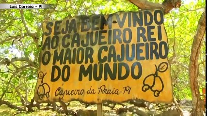 Meio Norte: Programa Revista MN - BL 01 - 27 07 17