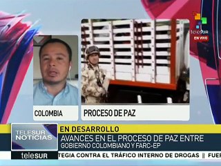 Colombia: organizaciones destacan el proceso de desarme de FARC-EP