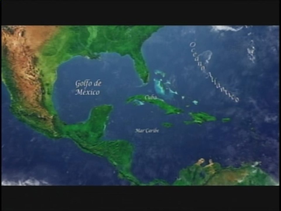 LOS FONDOS MARINOS DE CUBA Y EL MANATI