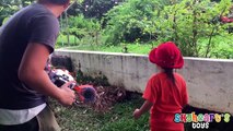 Dinosaurio dinosaurios abeto para Niños poderoso rinoceronte niñito juguetes guerra con Vs nerf |