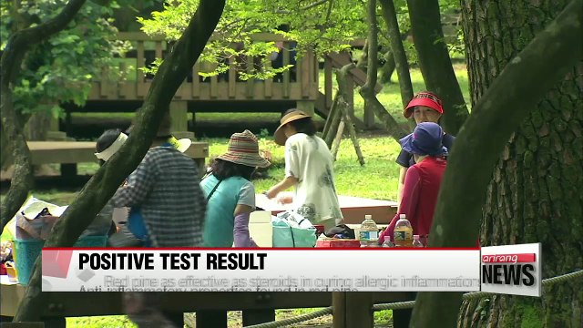 Korean red pines have anti-inflammatory properties