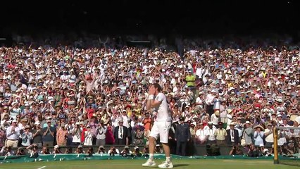 Andy Murray wins Wimbledon 2013 title
