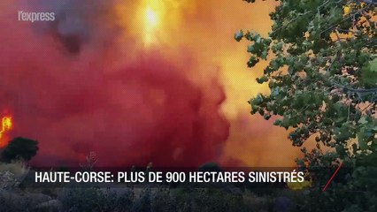 Incendie en Haute-Corse: 900 hectares sinistrés, des maisons menacées