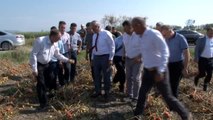 Dolunun Vurduğu Çiftçiye Bursa Büyükşehir Belediyesi'nden Destek