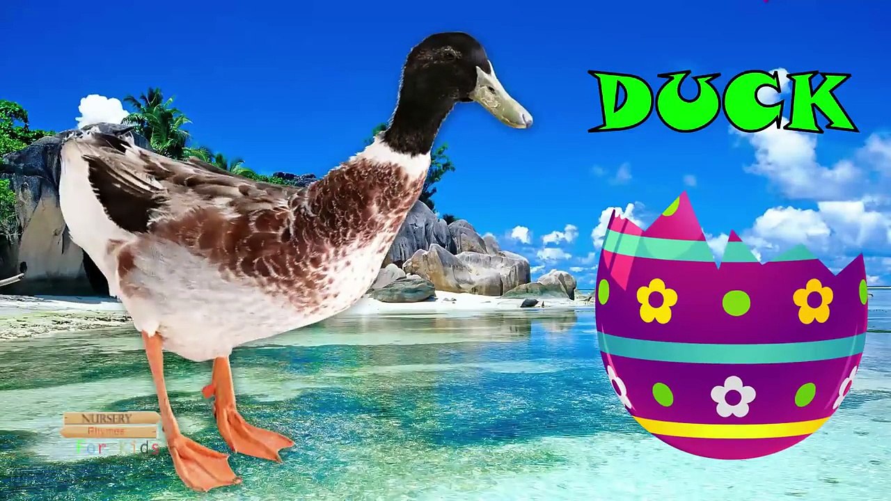 3. Америка животные капитан динозавр Пасха Яйца Семья ферма палец имен супергерои против |