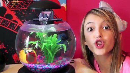 25 Things Kaelyn Cant Live Without!