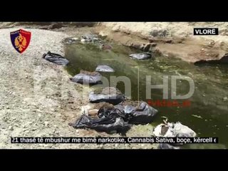 Trafikantët Përsëri në Vështirësi në Shushicë 🚨