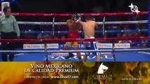 Jhonny Gonzalez vs. Jessie Cris Rosales Full fight 2017-07-22 WBC Latino super featherweight title