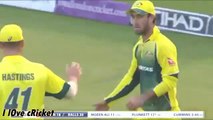 Best Cricket Catches On Boundary In Cricket History