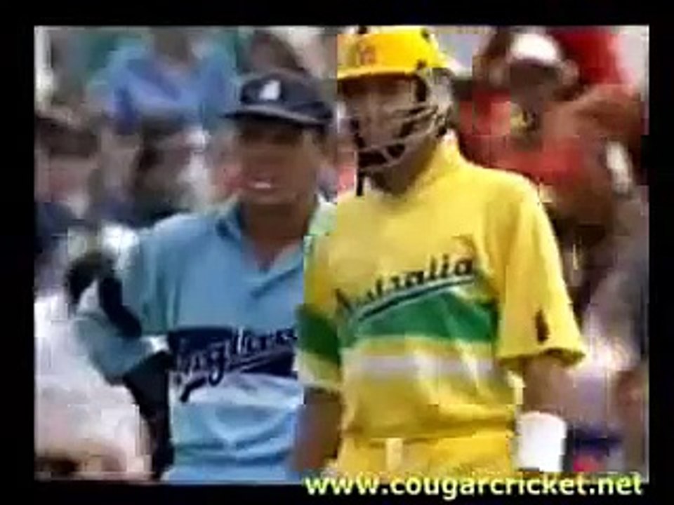Funny_Cricket