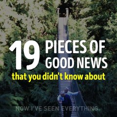 Bright Side - 19 pieces of good news that you didn't know...