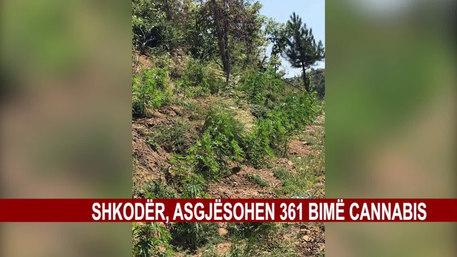 OPERACION KUNDËR DROGËS NGA AJRI DHE TOKA