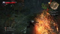 The Witcher 3: Wild Hunt – Cyclops death bug