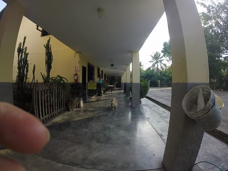 GOPR0279