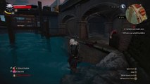 The Witcher 3: Wild Hunt – Water Bug