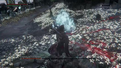 Bloodborne™_Last Shot, Last Potion, Last Chance