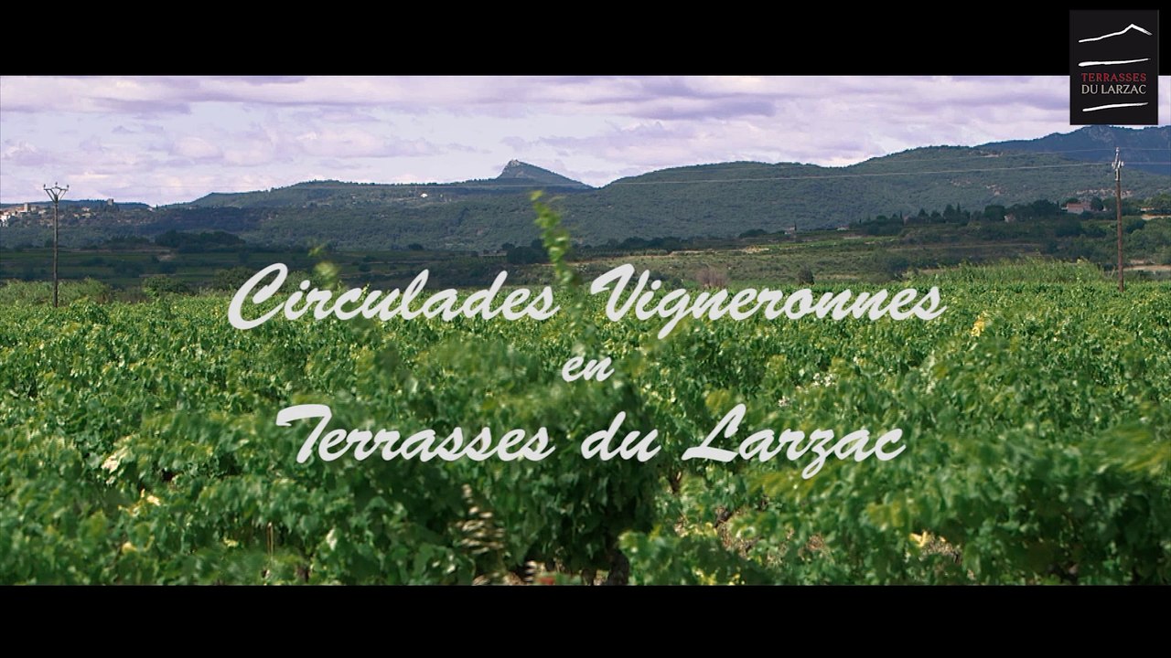 TERRASSES DU LARZAC