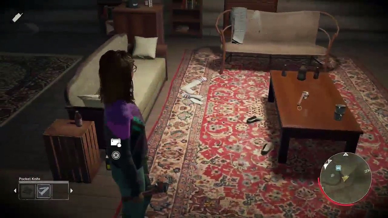 Ps4-live-Übertragung von ibga28a86 (18)