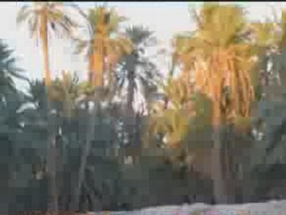 Souvenir d'algérie