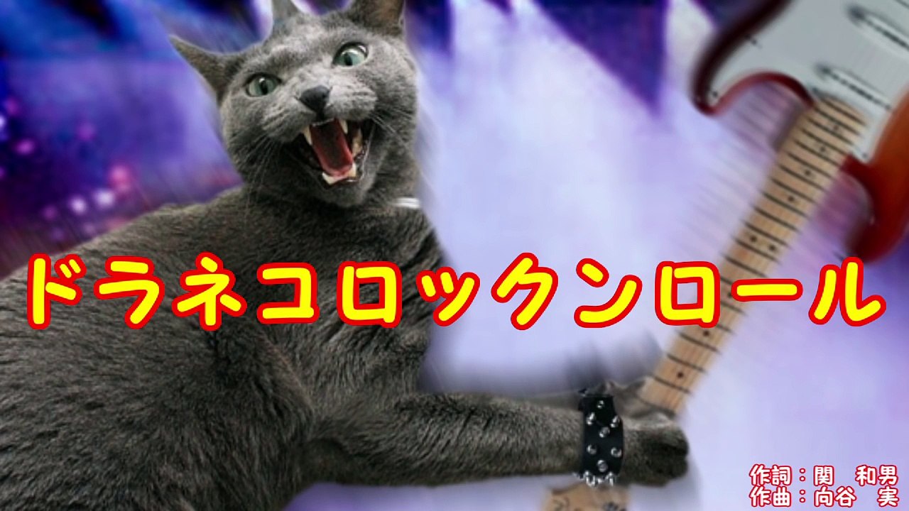ドラネコロックンロール おかあさんといっしょ Video Dailymotion