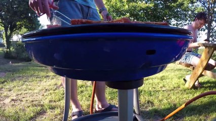 2017-07-23 Roadtrip La France (Dompierre Les Ormes)