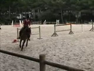 Montage lilas dress 2