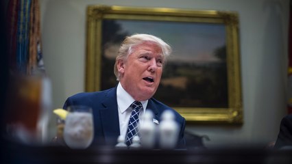 Scaramucci, senators discuss presidential pardon