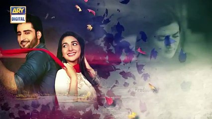 Tumhare Hain Ep 22 - 23rd July 2017