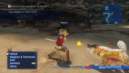 Basch Sword and Shield Moveset