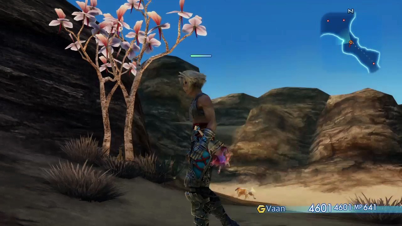 Vaan Hand-Bomb Moveset