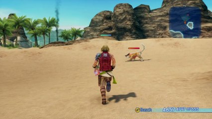 Basch Hand-Bomb Moveset