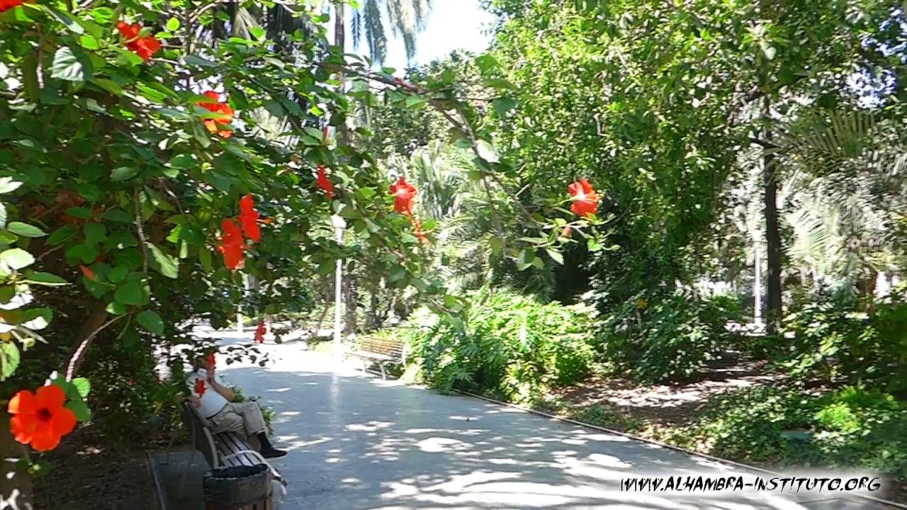Spanish for School groups in Malaga - Educational study tours with immersion in Spanish in Malaga Spain