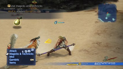 Basch Polearm Moveset