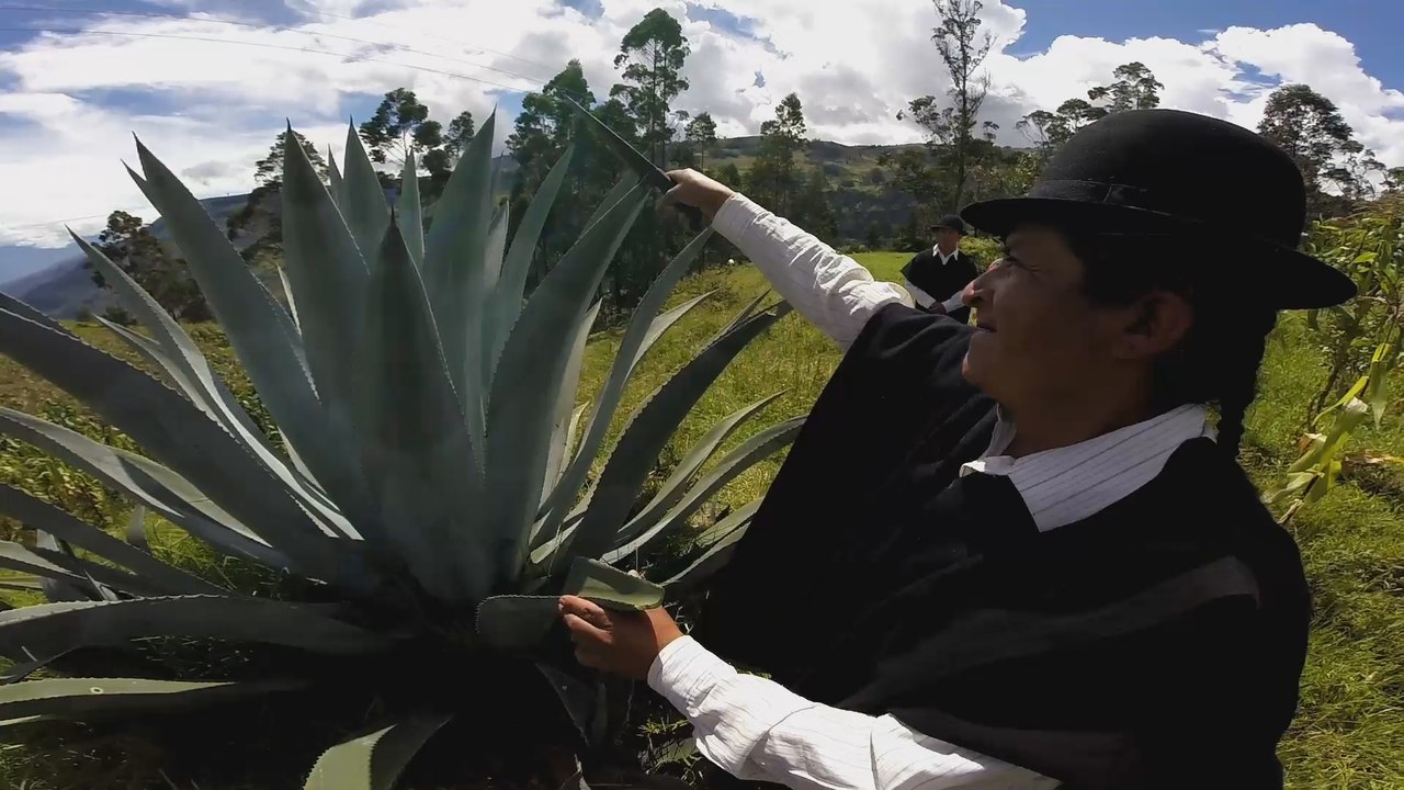 El guajango, una bebida espirituosa que cura resfriados y aviva las fiestas en los Andes de Ecuador