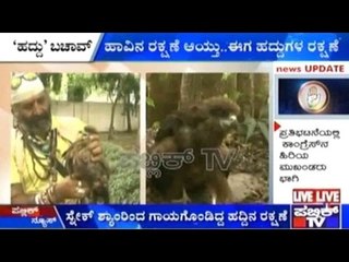 Snake Shyam Rescues Eagle In Mysuru