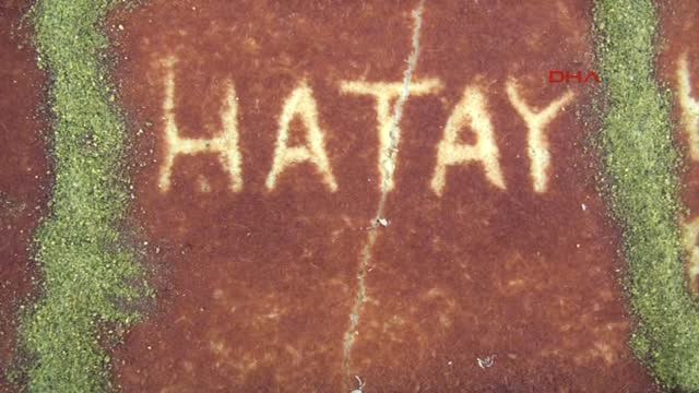 Hatay 78 Metrelik Künefe 20 Dakikada Tükendi