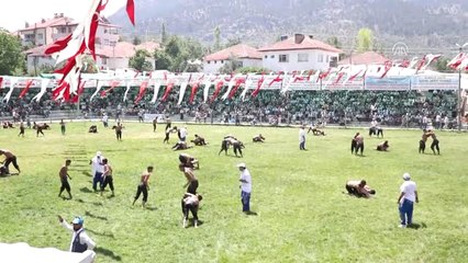 30. Altın Sipsi Yağlı Pehlivan Güreşleri