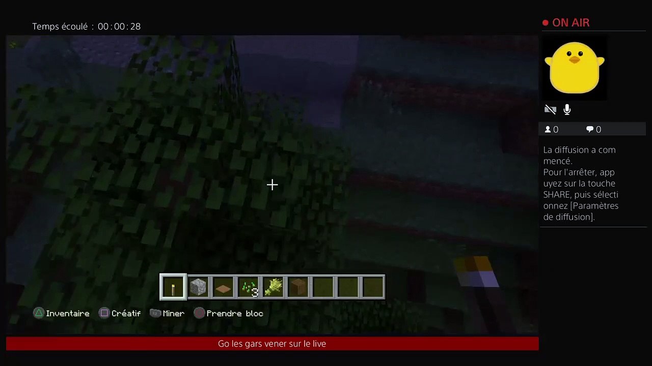 Je suis sur PALADIEUM SUR PS4 OMG o_o (109)