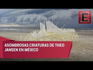 Asombrosas Criaturas en México 2017 con Theo Jansen