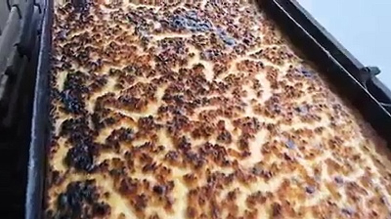 karan tika..pitza de maghnia tlmcen haytaim 2017