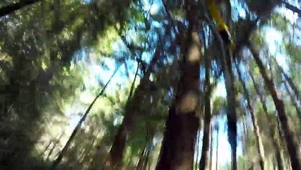 ✅ Desafios da Estrada  ☆ 1ª Temp.- Epis 10 ☆ Madeira!