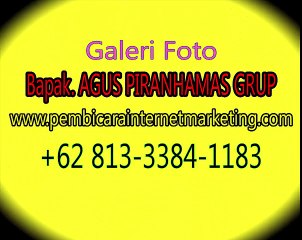 Call: +62 813-3384-1183 (T-SEL), Pakar Digital Marketing Yang Terbaik, Pakar Digital Marketing Jakarta