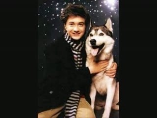 Daniel Radcliffe