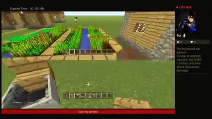 Minecaft (83)