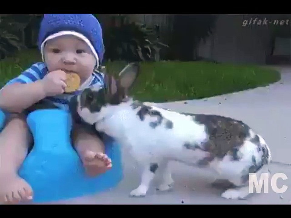 Funny Robber
