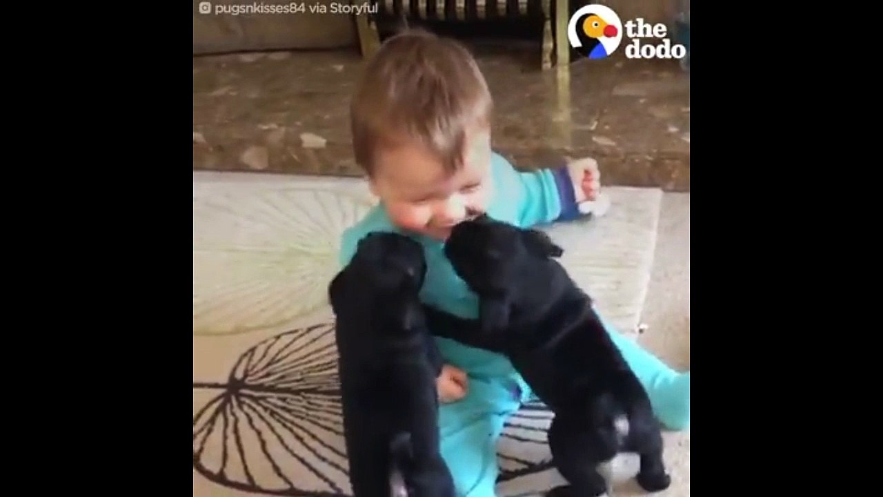 Baby and pet