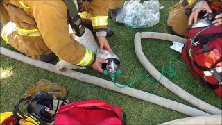 Des pompiers raniment un chien évanoui après un incendie